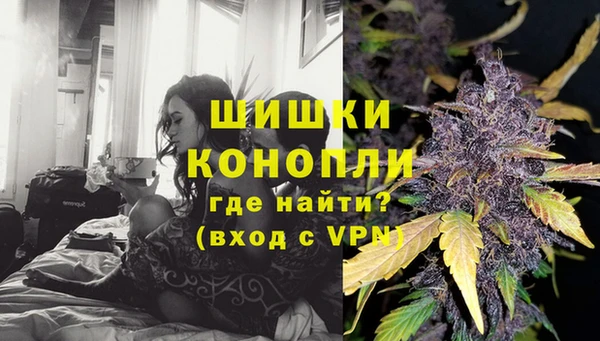 PSILOCYBIN Дмитриев