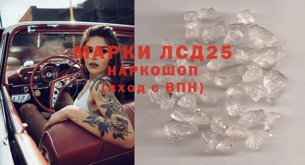 PSILOCYBIN Дмитриев
